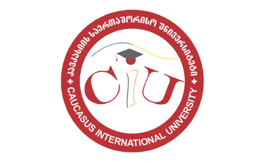 Caucasus's International University, Georgia