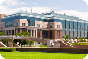 638 Images for Websites About Us page RevampFES 284 x 192px 4